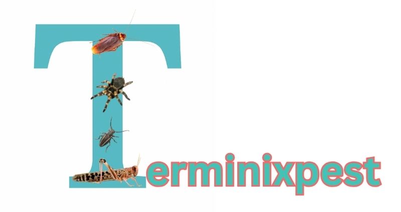 Terminixpest